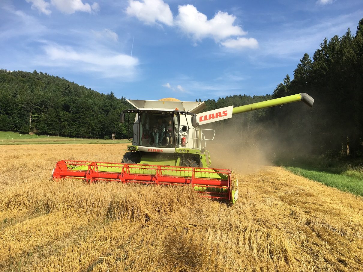 Feldarbeit und Ernte