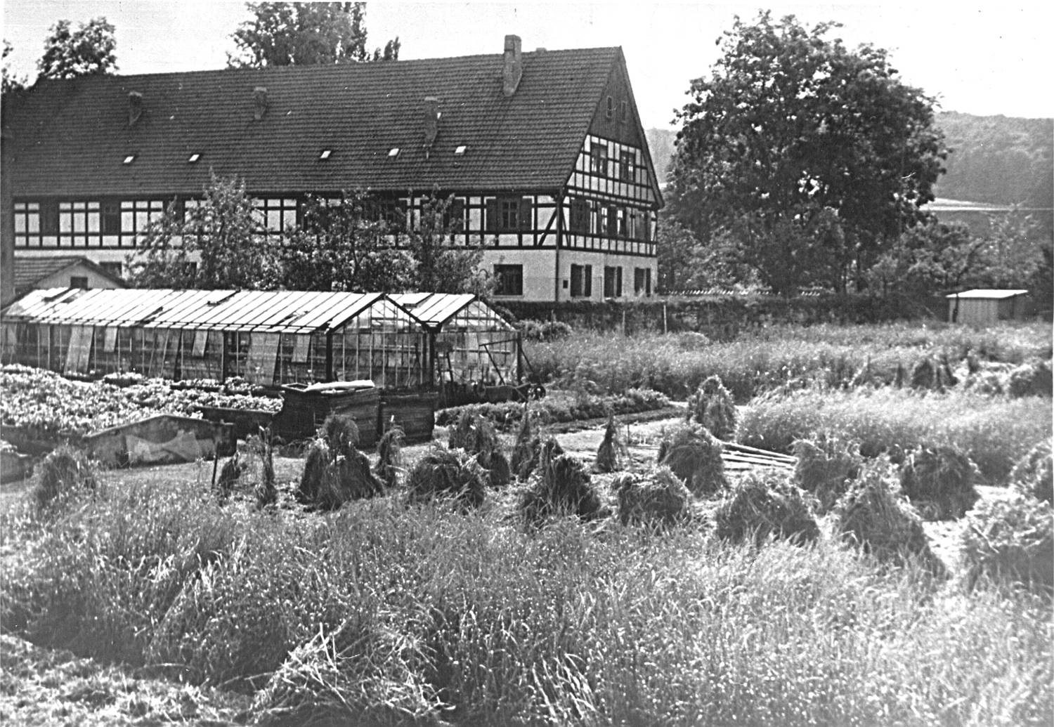 Historische Betriebsfotos