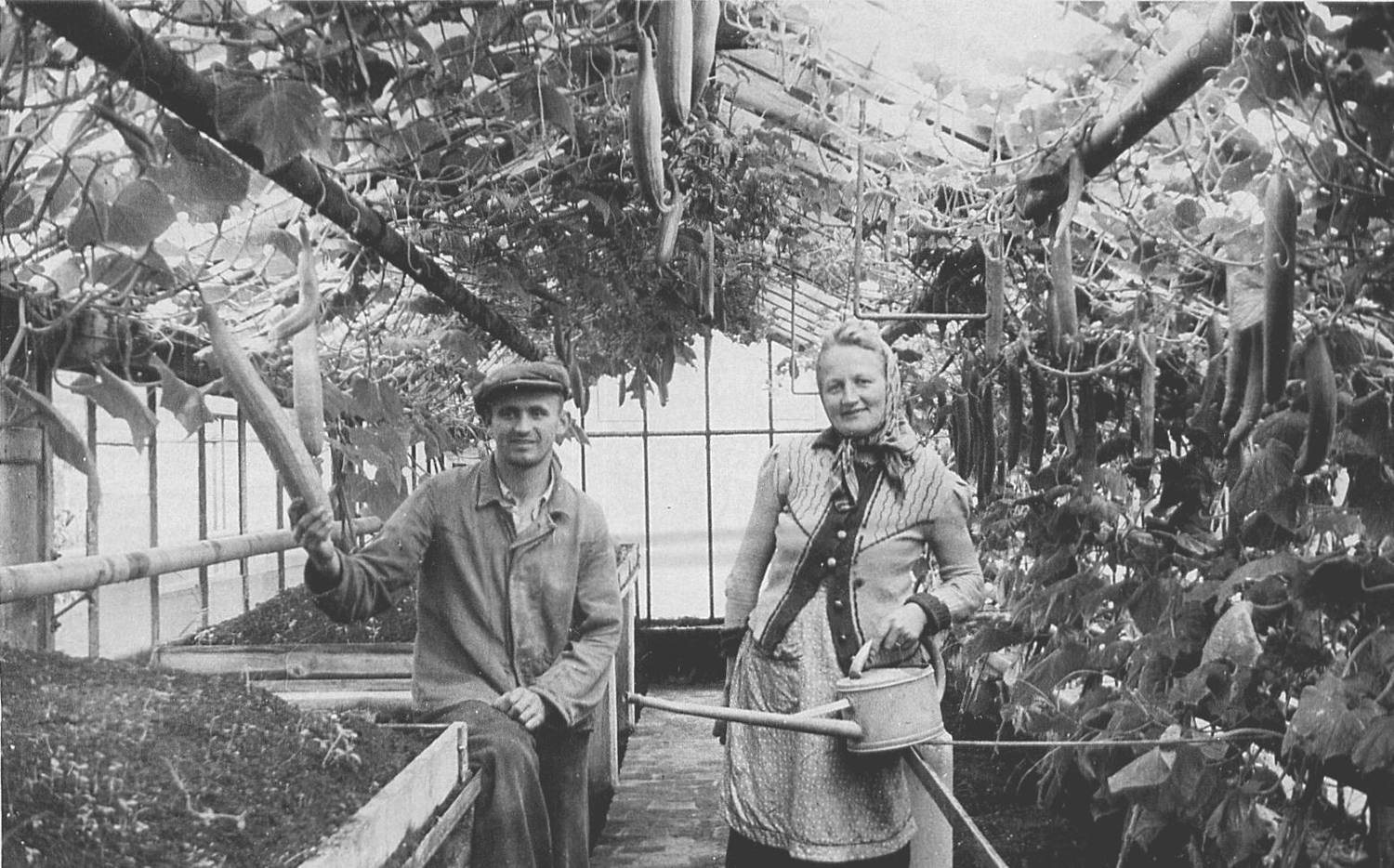 Historische Betriebsfotos
